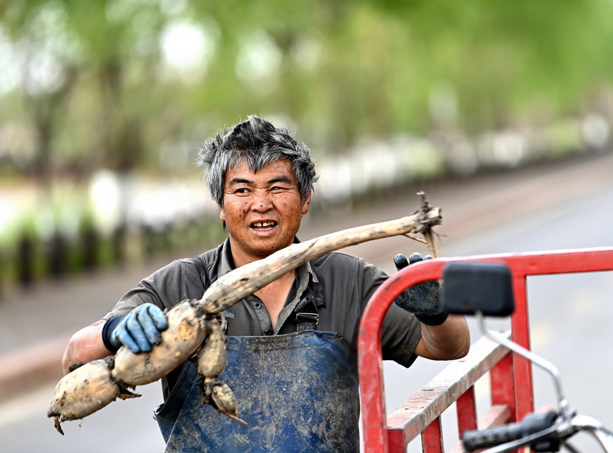 湿地公园之采莲人