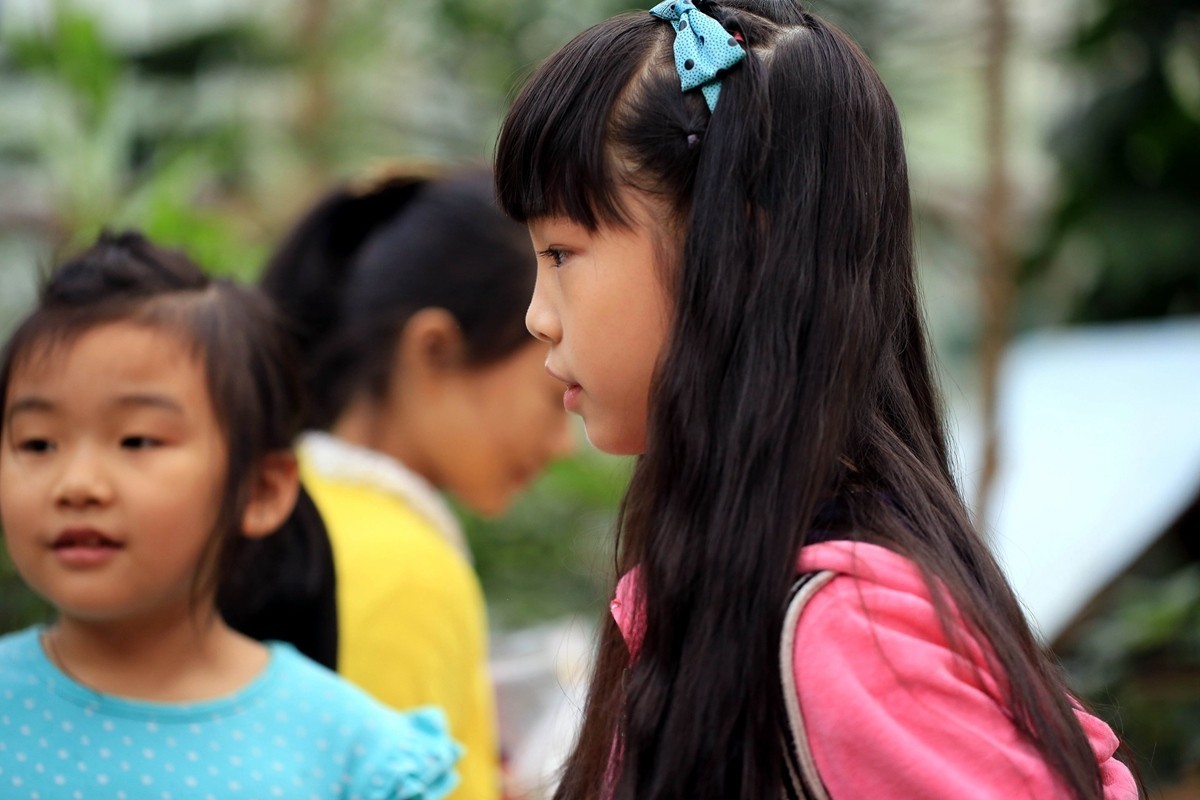 用百微镜头拍不怕人的小鸟——小鹦鹉