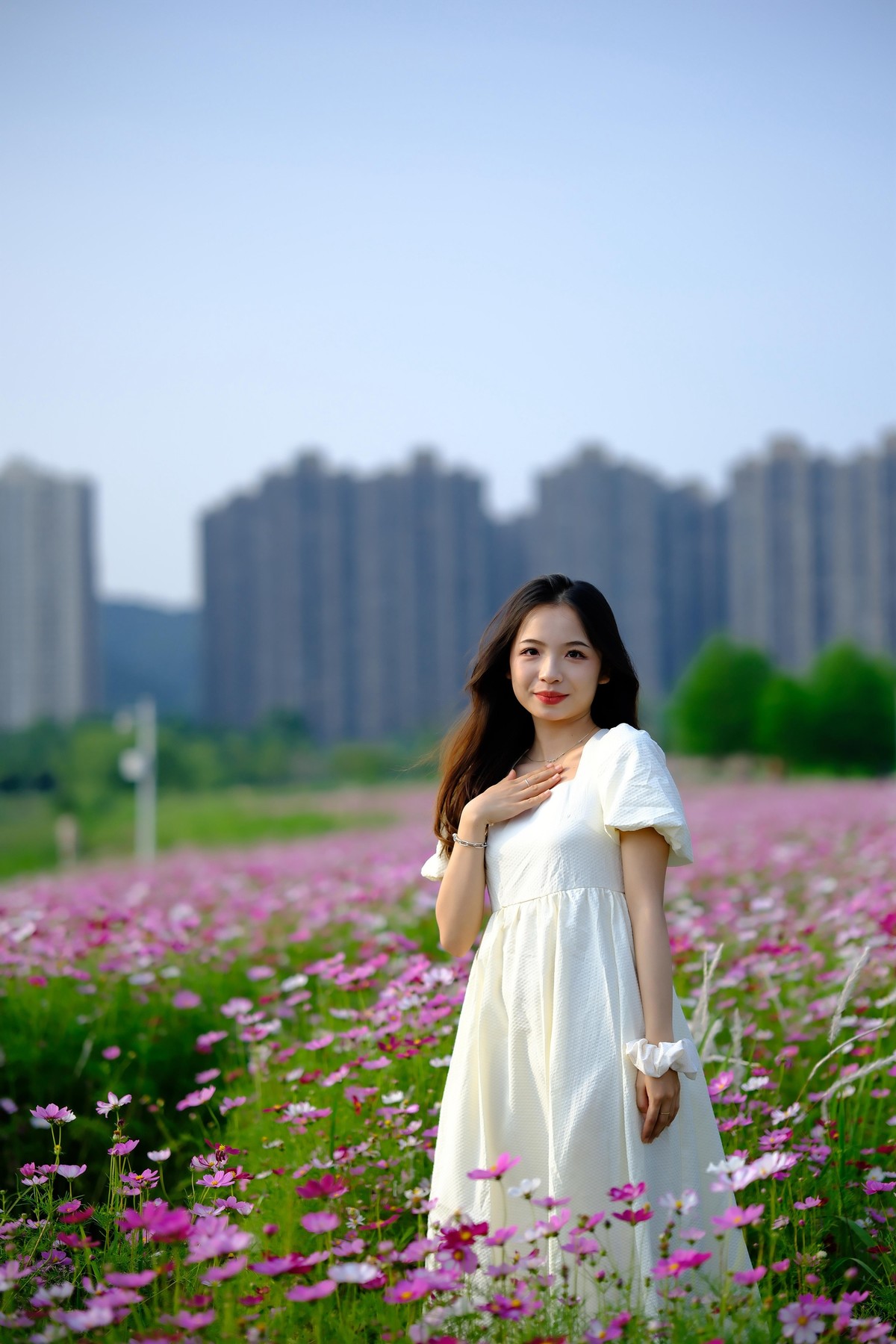 测试·富士ＸＴ－５：长沙洋湖潮湿地公园·格桑花海。