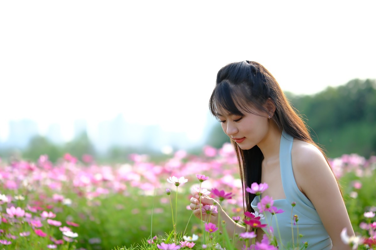 测试·富士ＸＴ－５：长沙洋湖潮湿地公园·格桑花海。