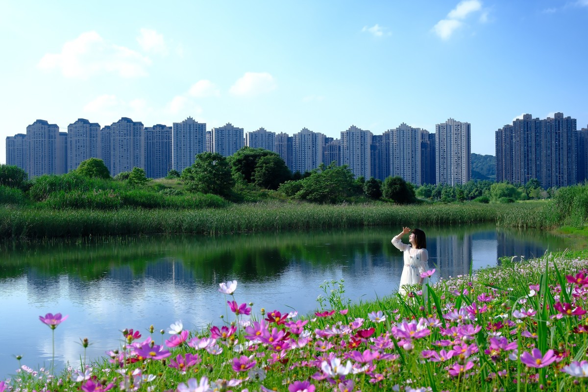 测试·富士ＸＴ－５：长沙洋湖潮湿地公园·格桑花海。