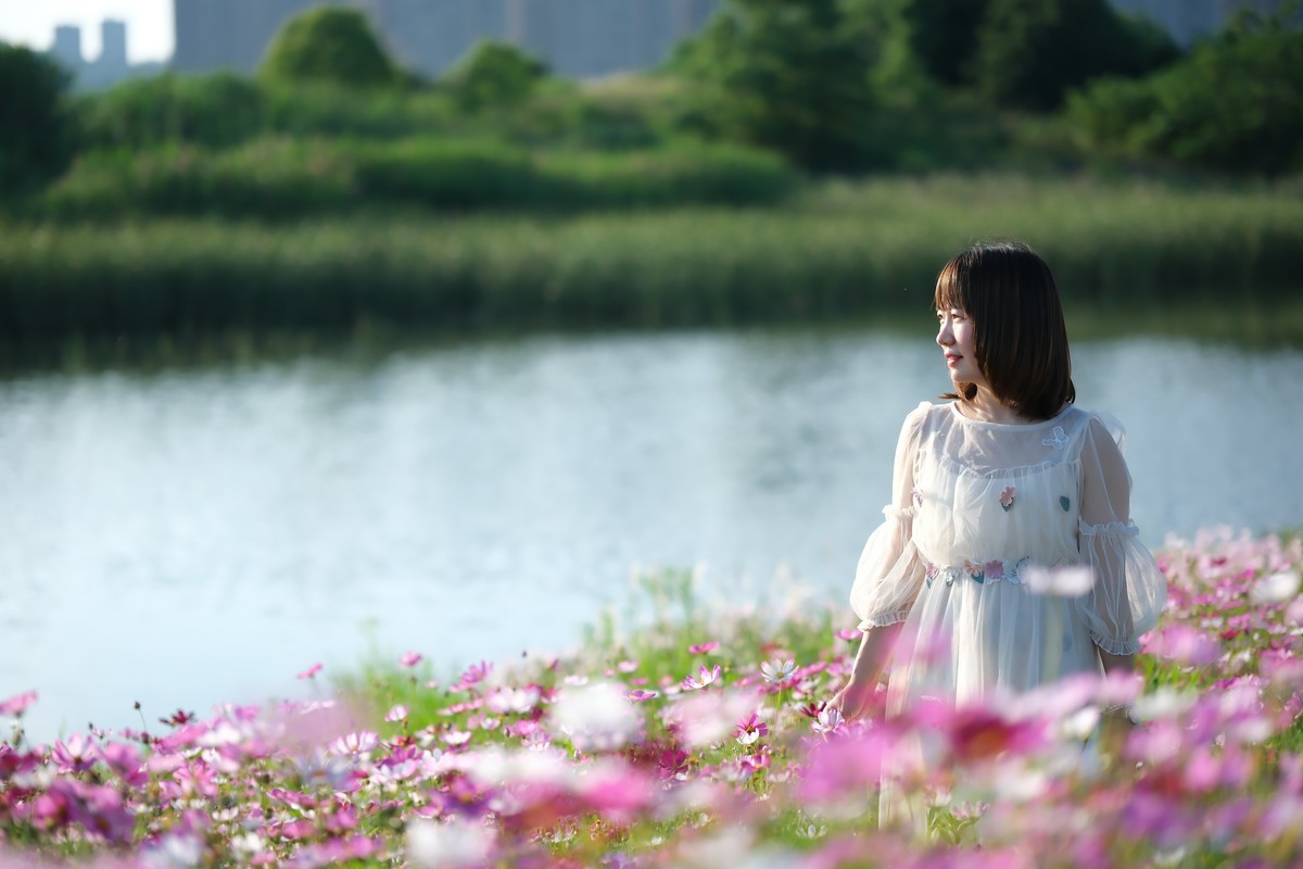 测试·富士ＸＴ－５：长沙洋湖潮湿地公园·格桑花海。