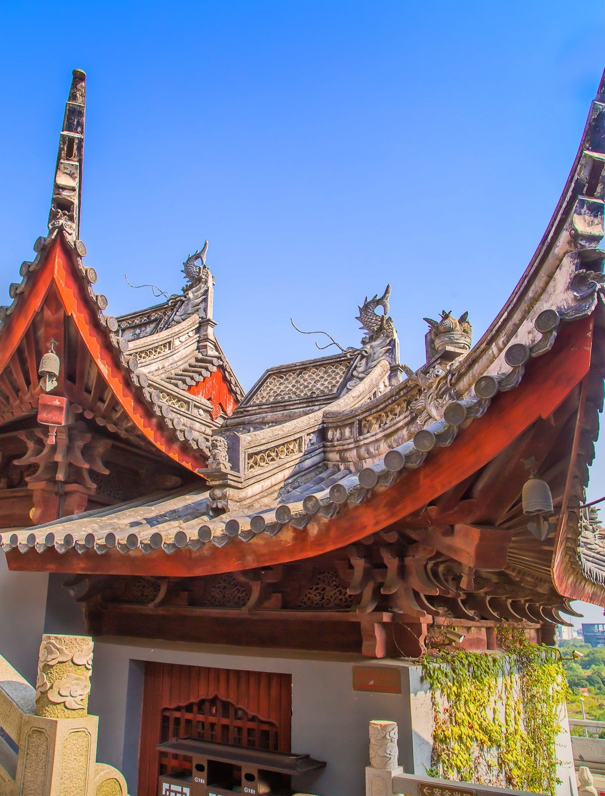 2023-10-21苏州白鹤寺（一）