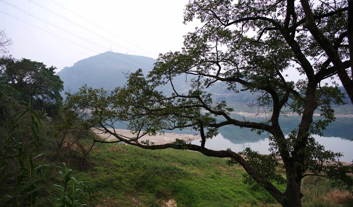 嘉陵江畔金刚碑老街