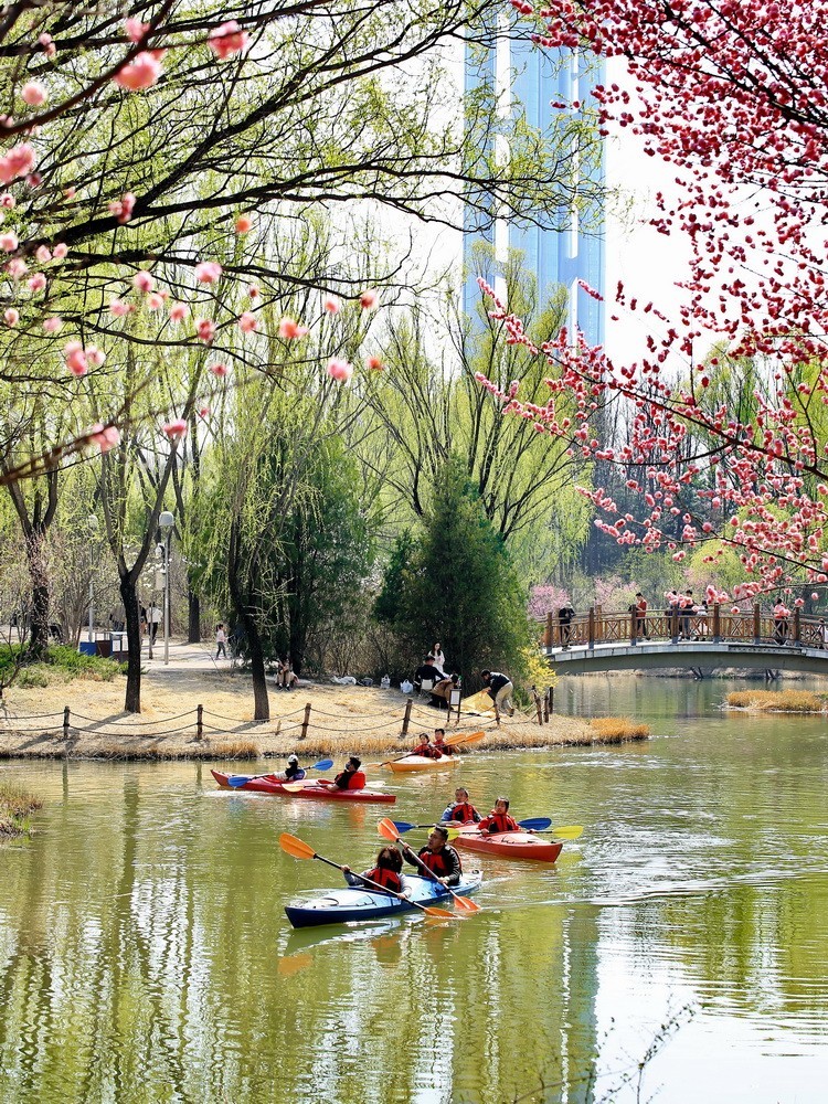 2024012 奥体森林公园 春色春韵