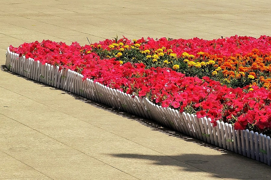 《不老松：纪实摄影》【大好河山系列报導】邯郸游摄：邯郸丛台公园大门里外！ (3)