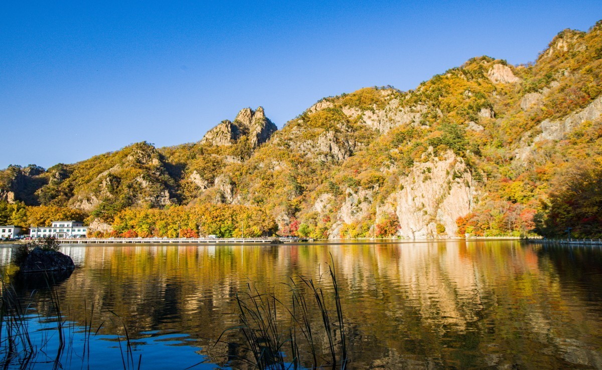 外出随拍（续210）.