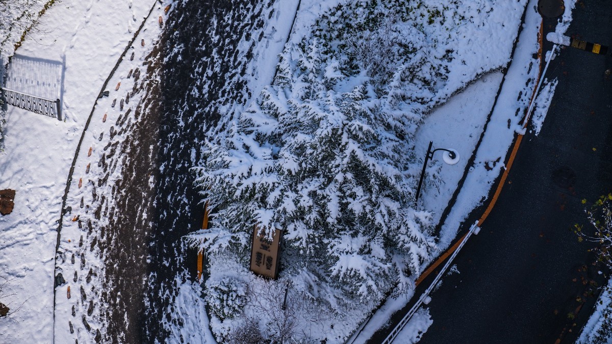 241126 宅 家 观 雪 （ 四 ）