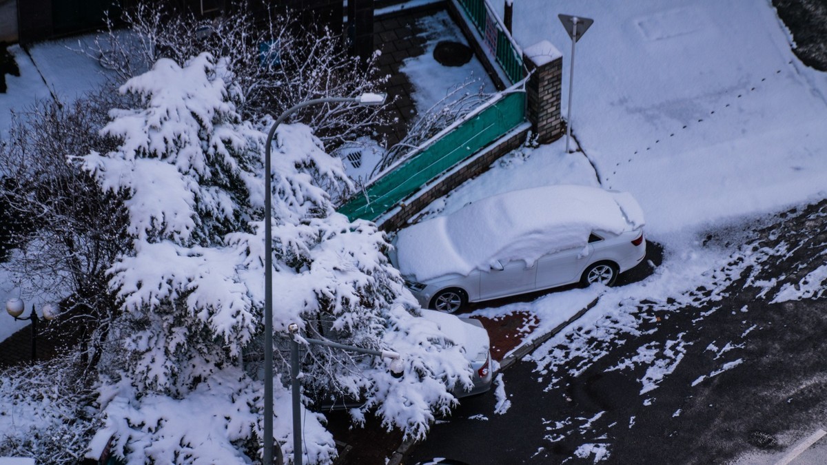241126 宅 家 观 雪 （ 四 ）