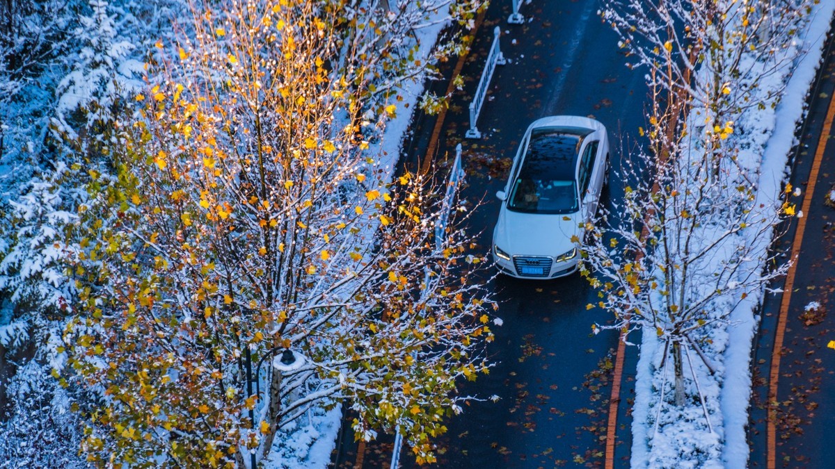 241126 宅 家 观 雪 （ 四 ）