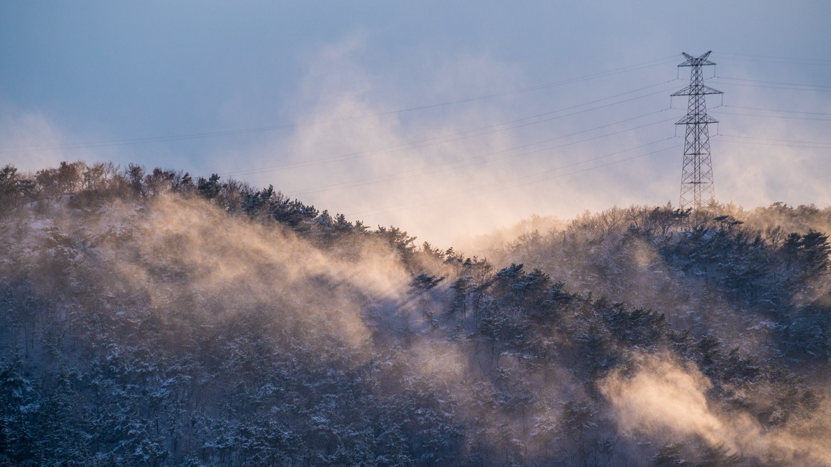 241126 宅 家 观 雪 （ 四 ）