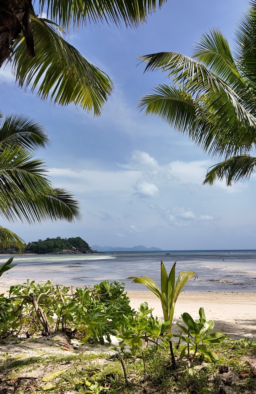 2025-02-02 马埃岛康斯丹艾菲亚度假酒店