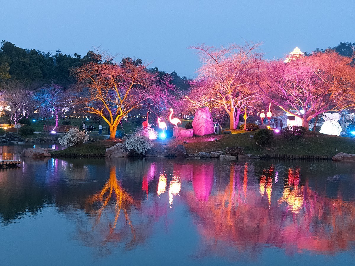 武汉东湖樱花园11