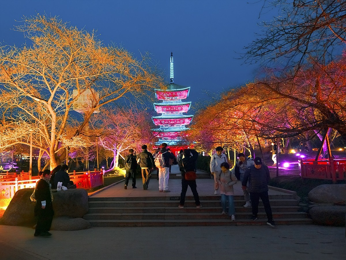 武汉东湖樱花园11