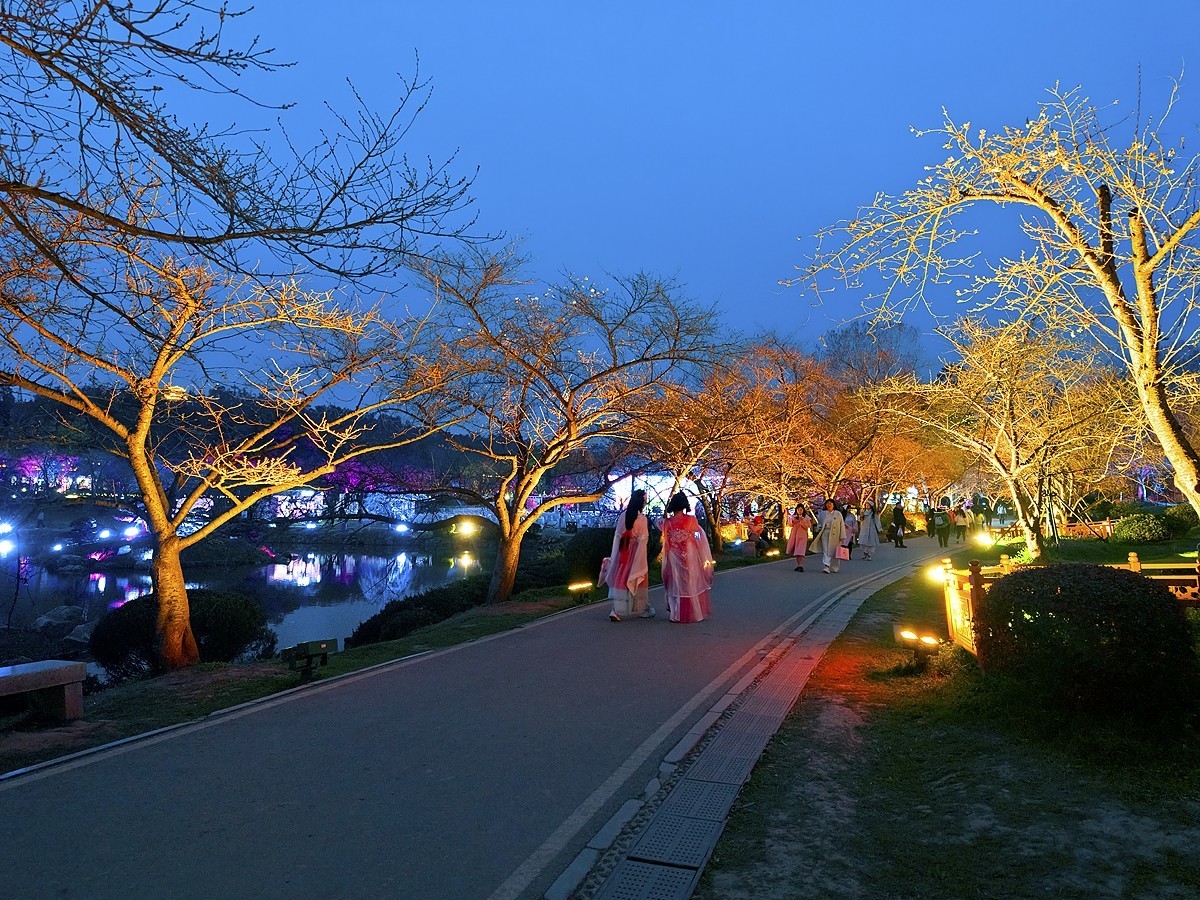 武汉东湖樱花园11