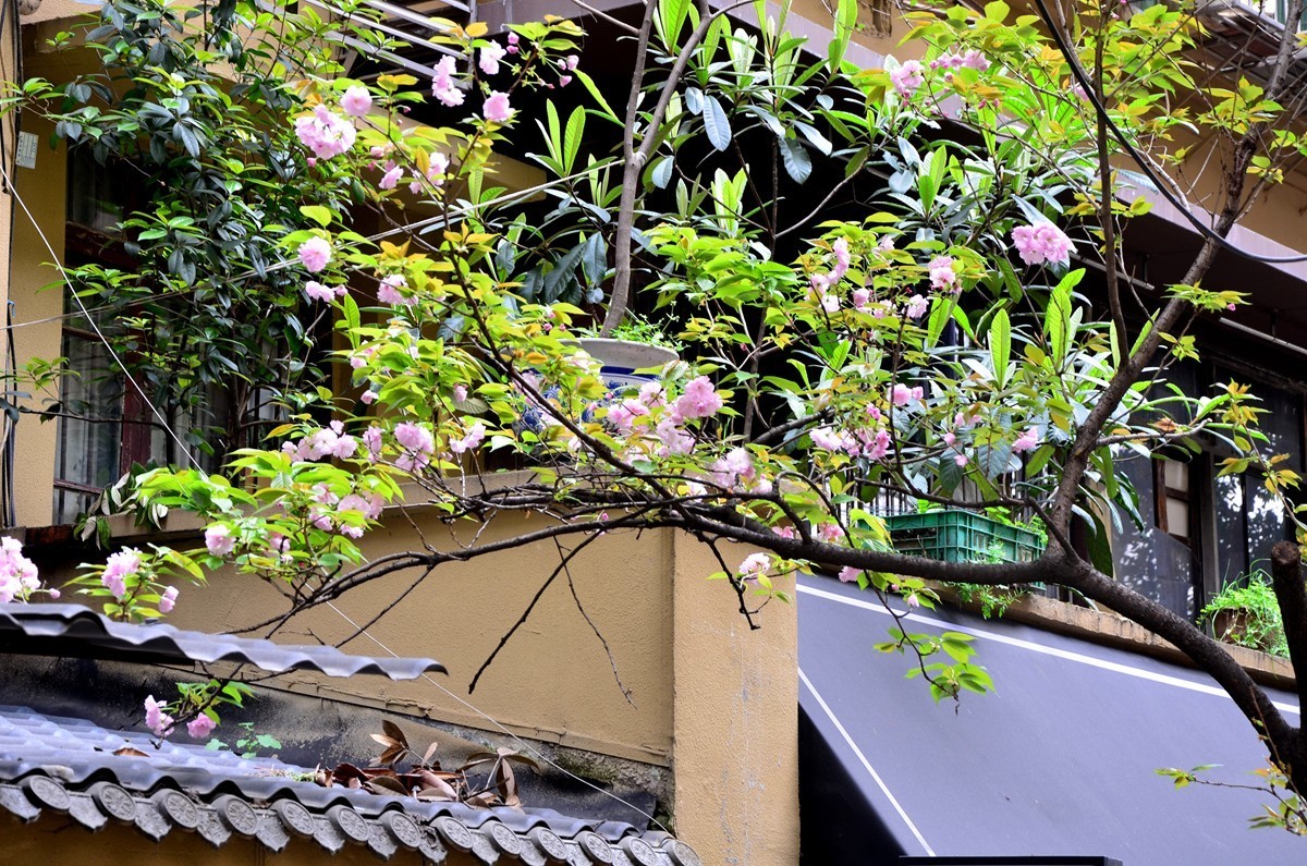 南坪后堡80街 （三）