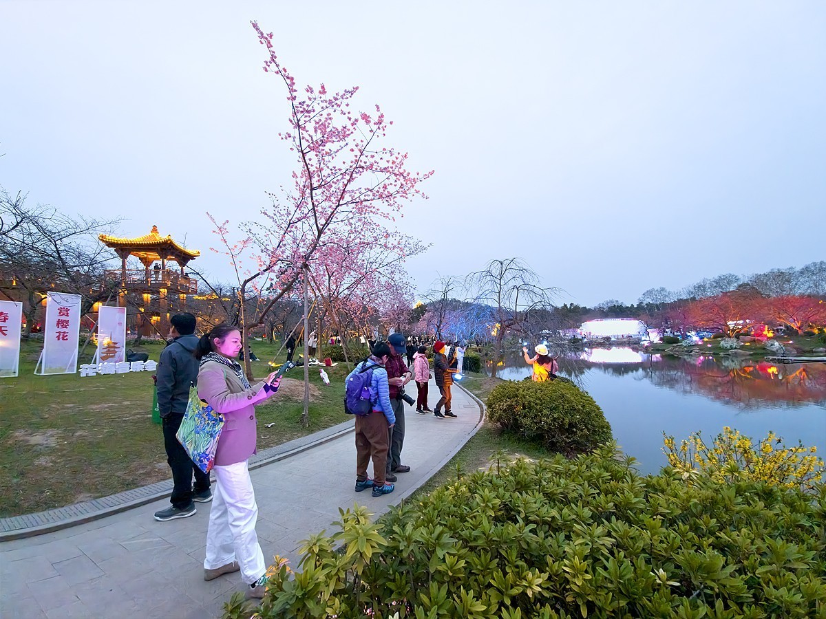 武汉东湖樱花园11