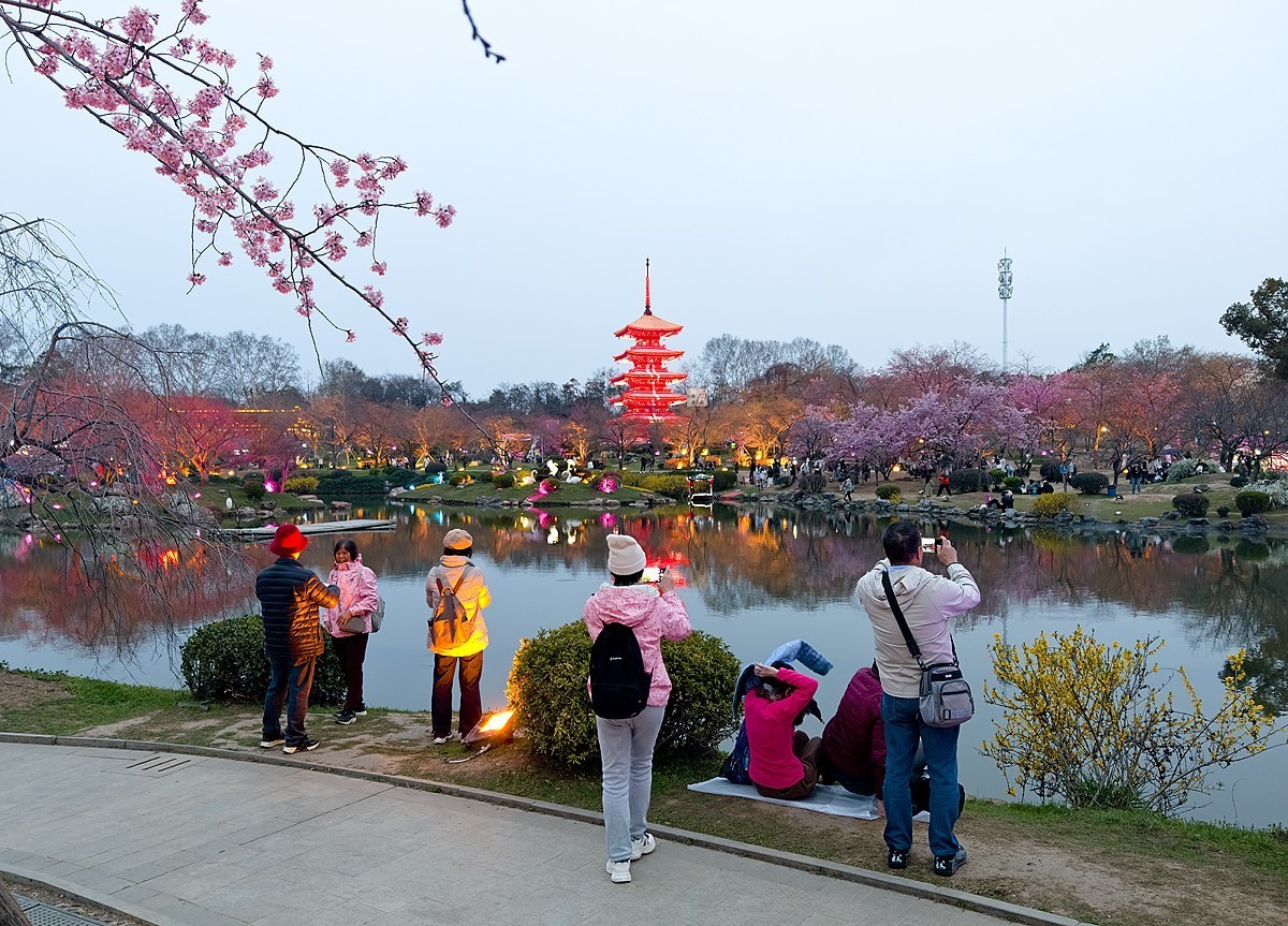 武汉东湖樱花园11