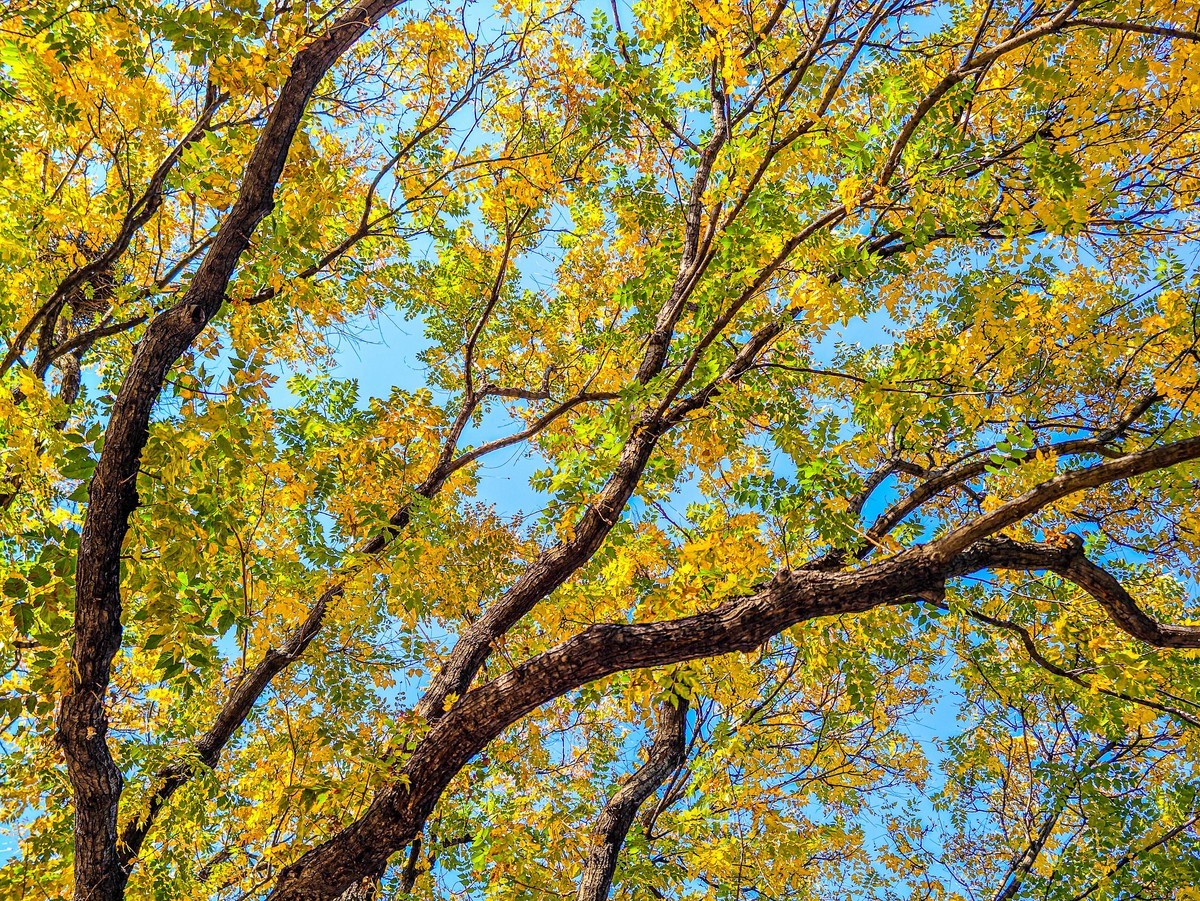 手机游拍20241105《56》