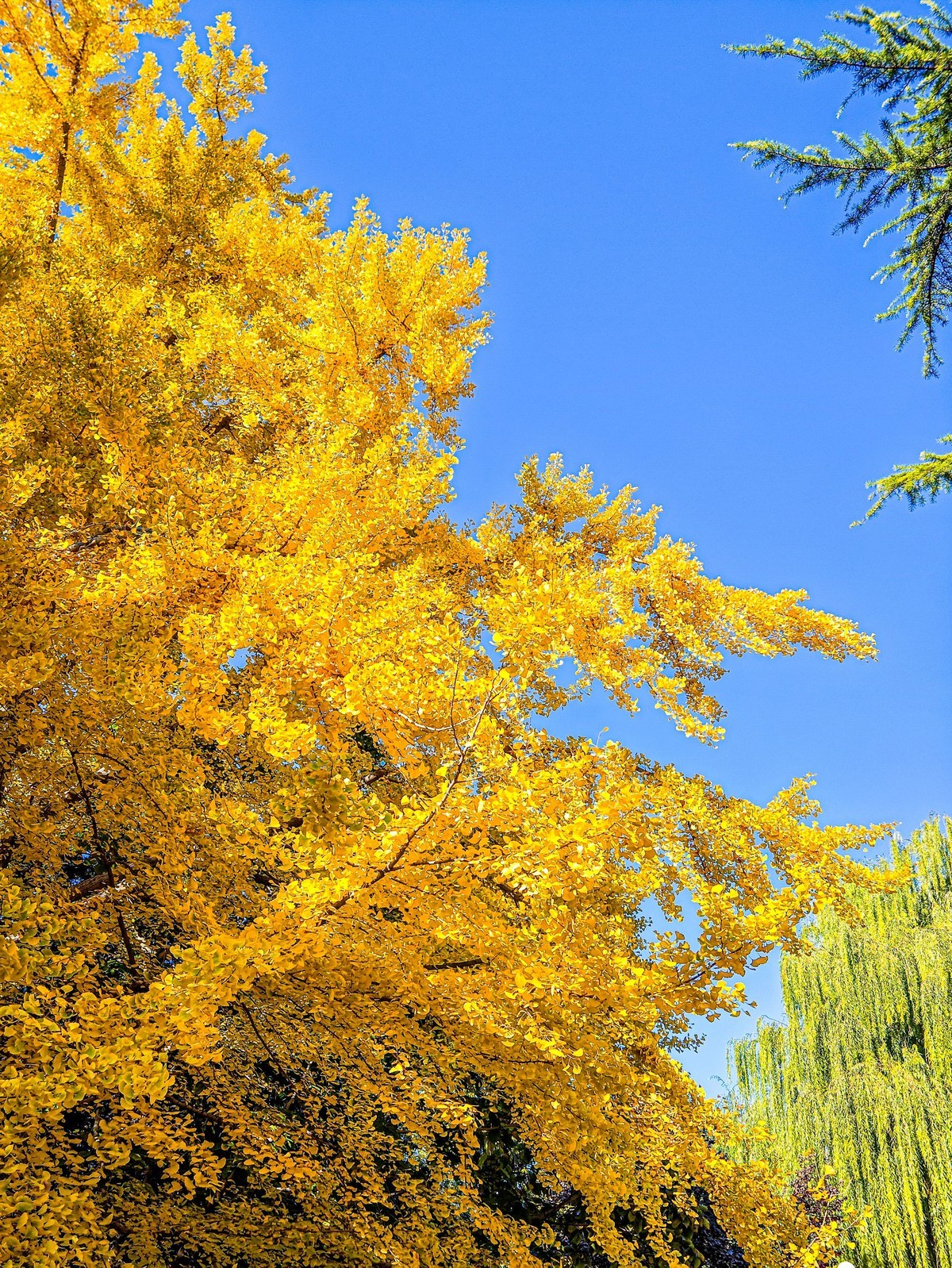 手机游拍20241105《56》