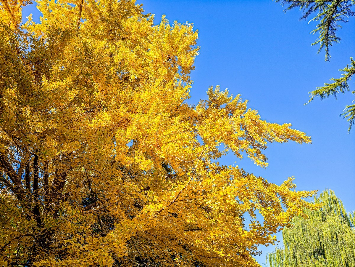 手机游拍20241105《56》