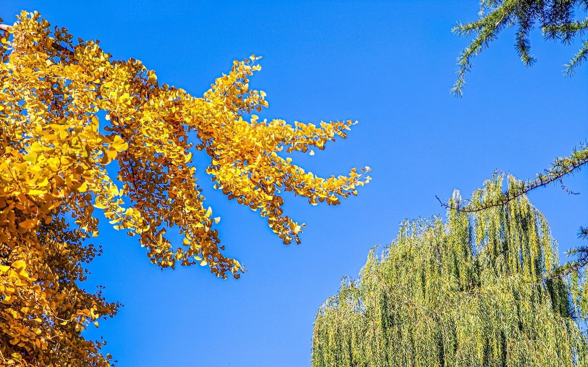 手机游拍20241105《56》