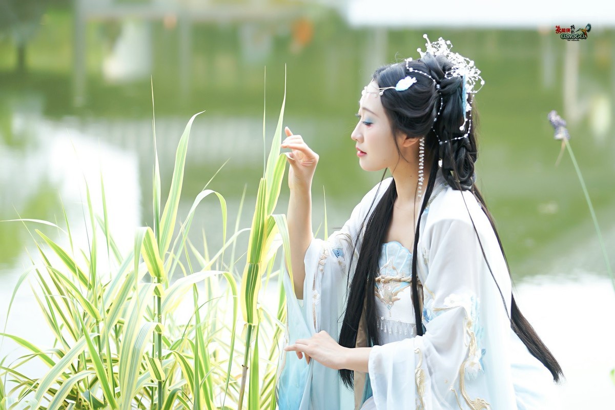 【人鱼姬】---银璐