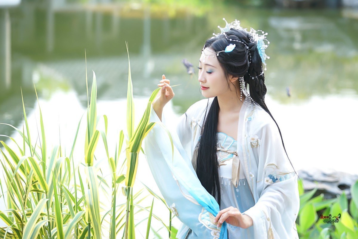 【人鱼姬】---银璐