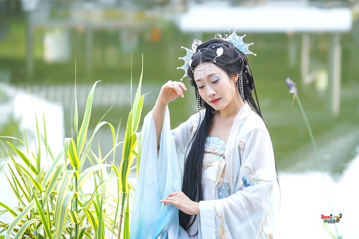 【人鱼姬】---银璐