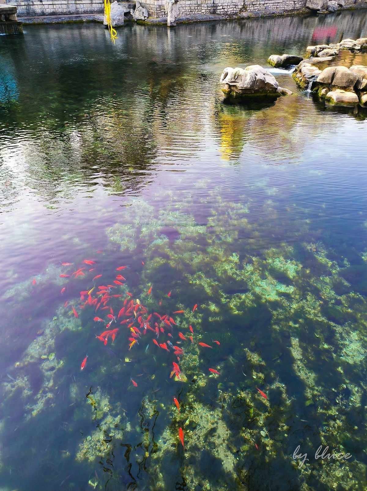 泉城的冬天【下】