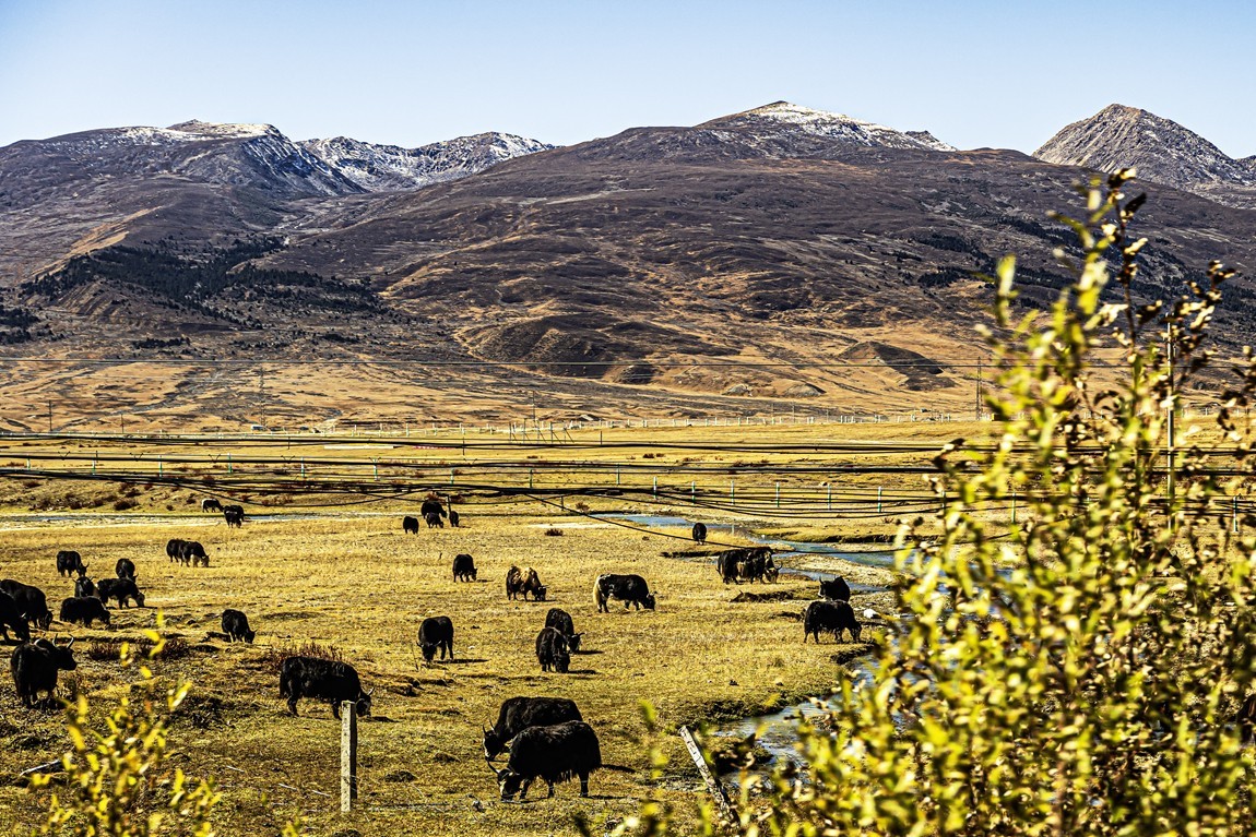 行走在318国道--初探月亮湖【2】