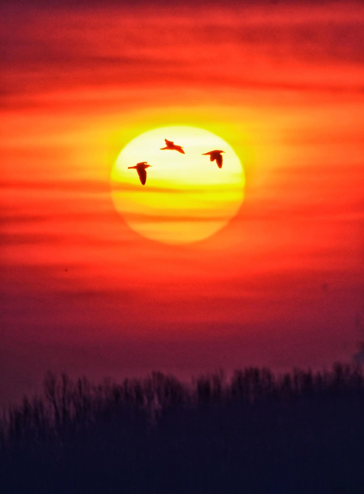 朝阳映照沉沙池