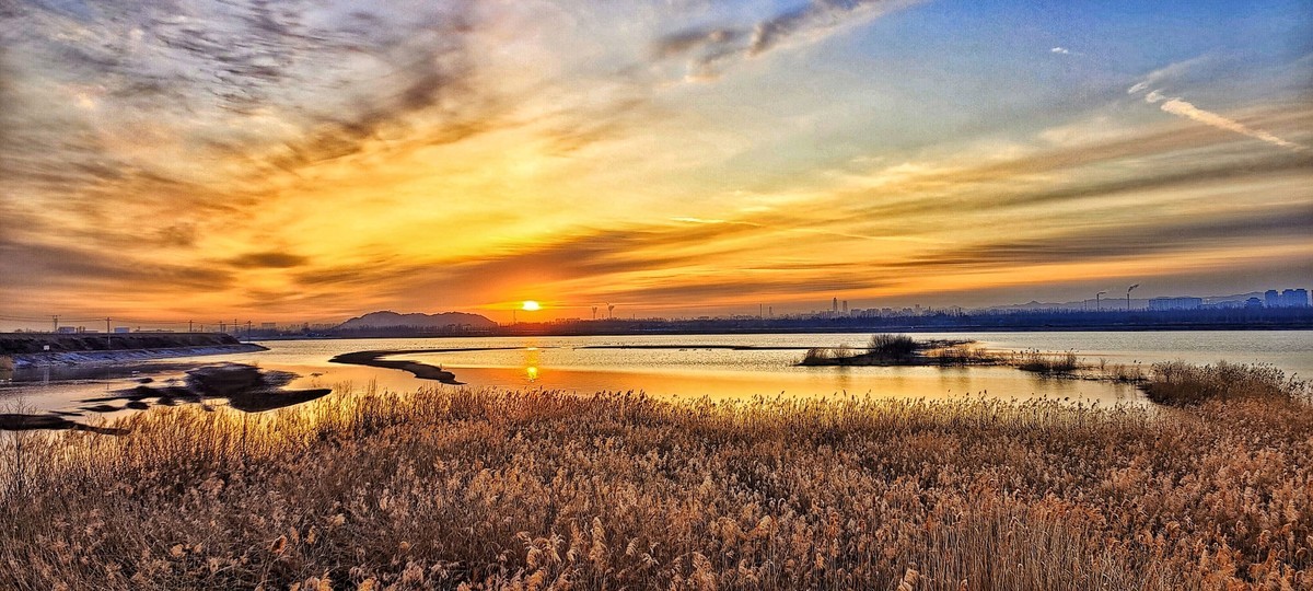朝阳映照沉沙池