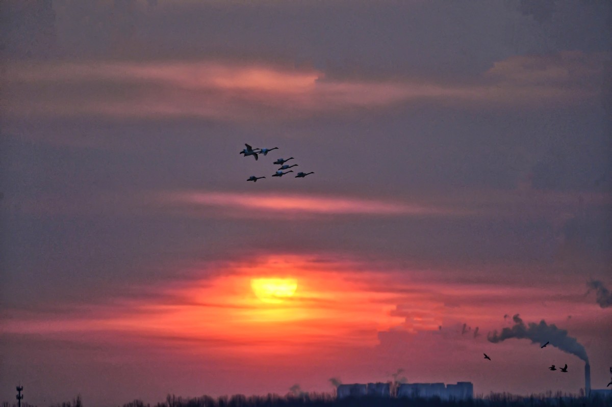 朝阳映照沉沙池