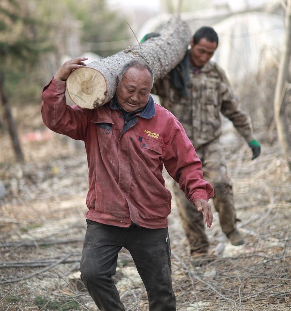 致这个春天----农村人像