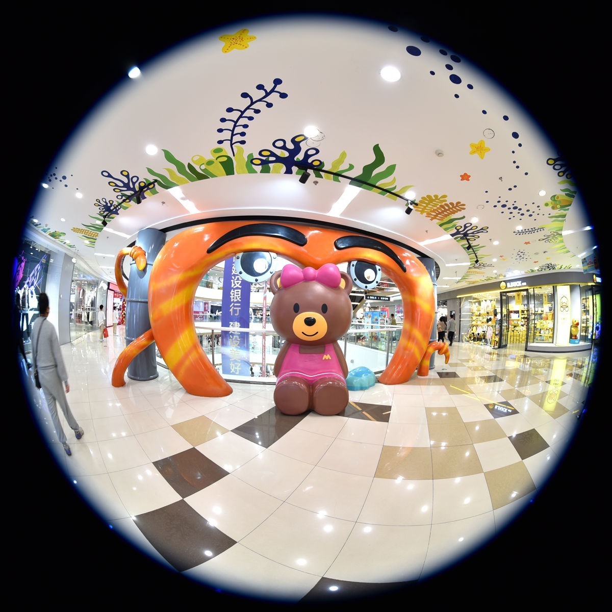 很小众但是很有趣的圆周鱼眼