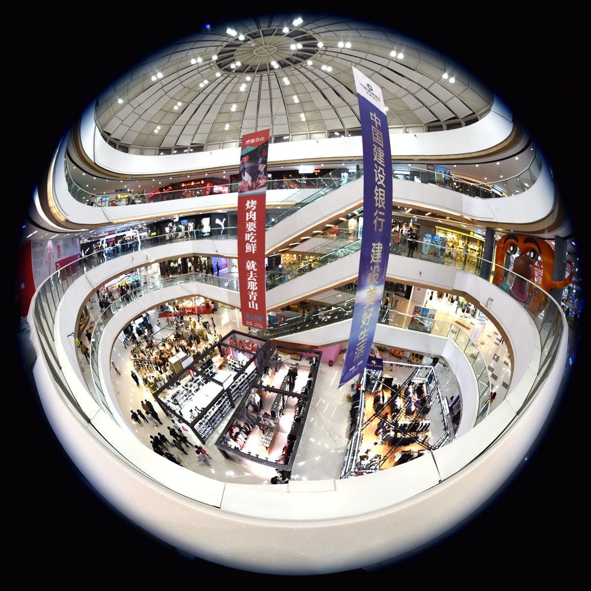 很小众但是很有趣的圆周鱼眼