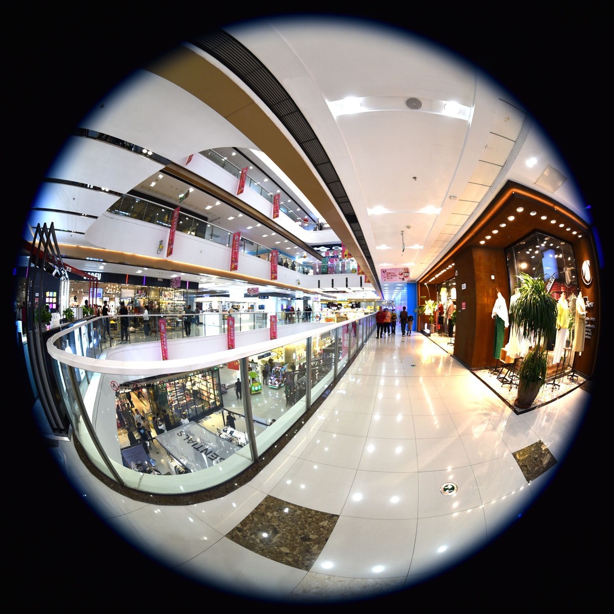 很小众但是很有趣的圆周鱼眼