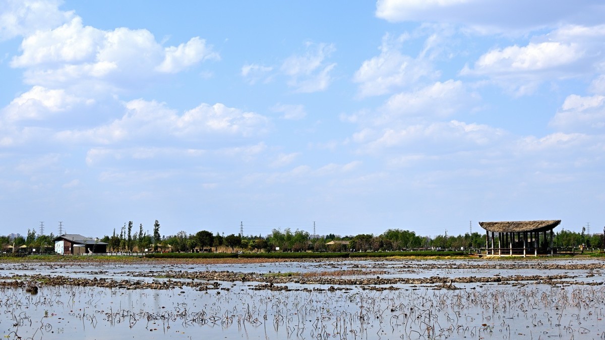 湿地公园春天的气息