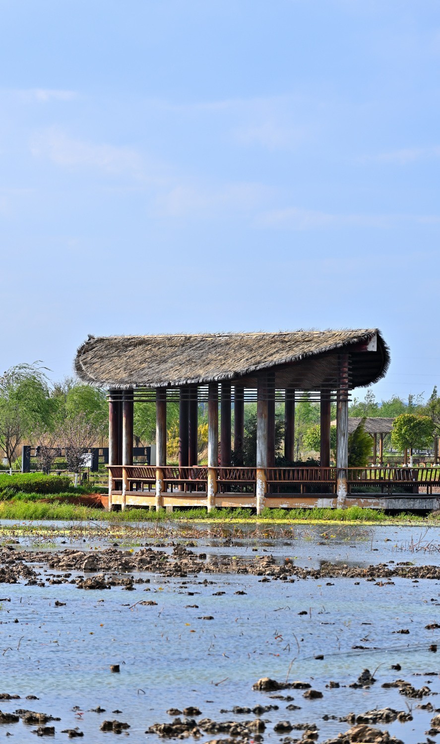 湿地公园春天的气息