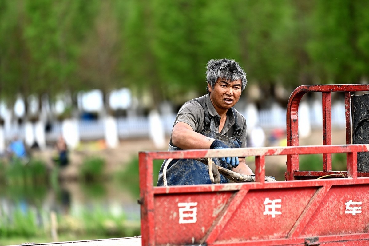 湿地公园之采莲人