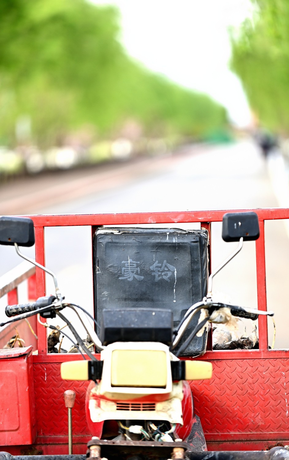 湿地公园之采莲人