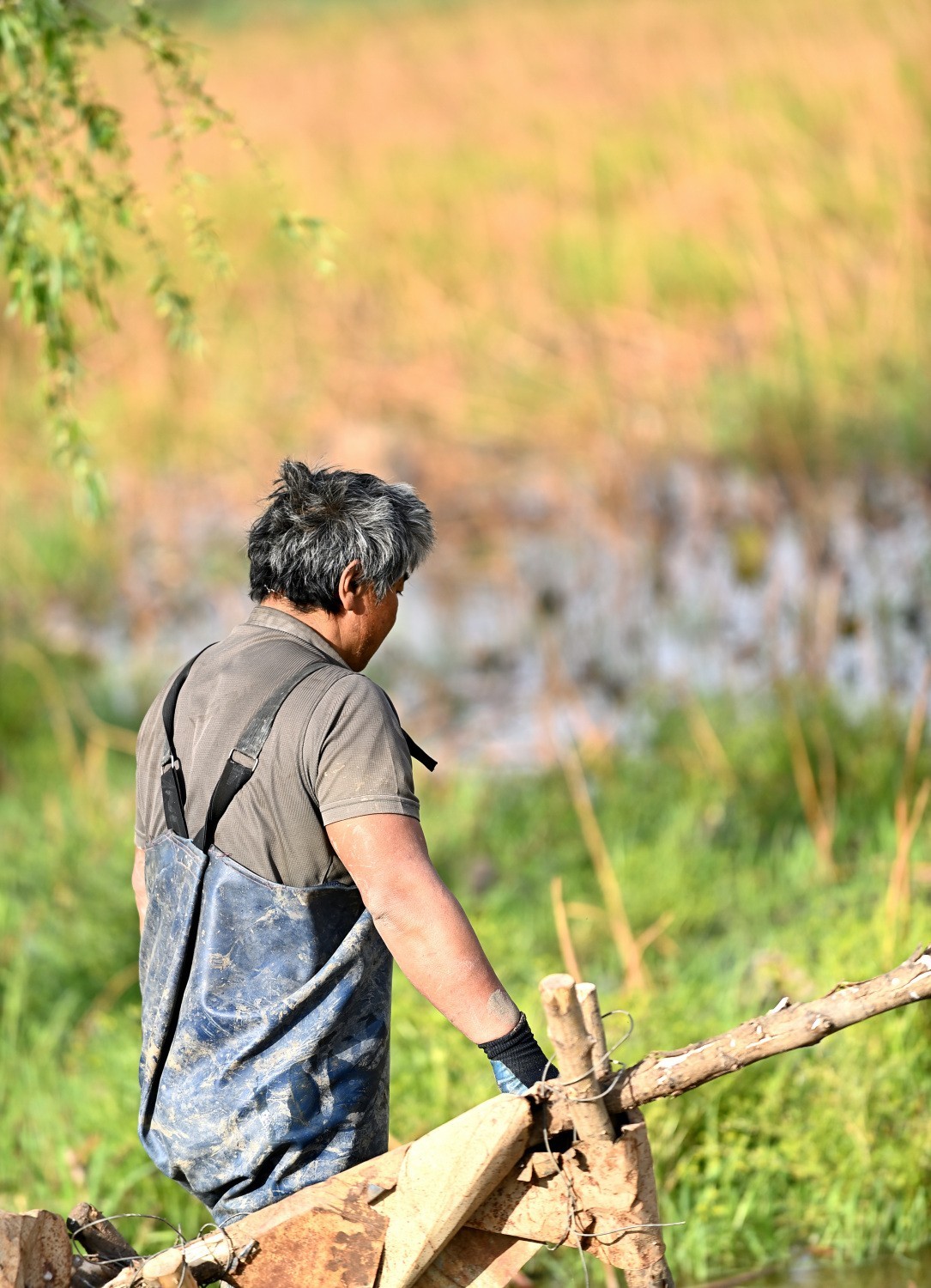 湿地公园之采莲人