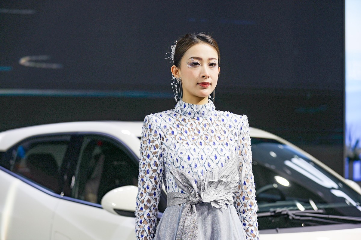 2023年5.1长沙车展--比亚廸展台13