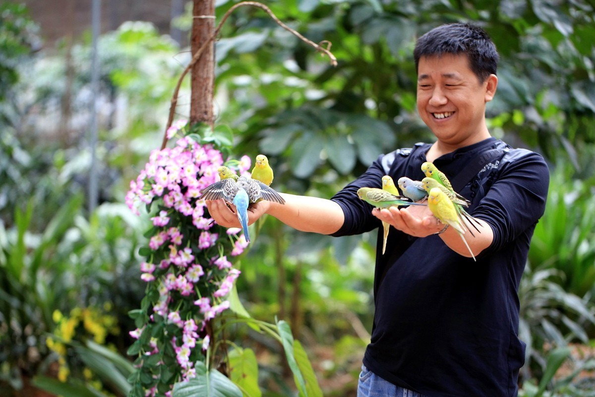 用百微镜头拍不怕人的小鸟——小鹦鹉