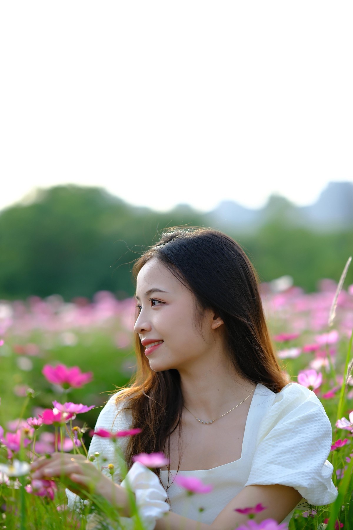 测试·富士ＸＴ－５：长沙洋湖潮湿地公园·格桑花海。