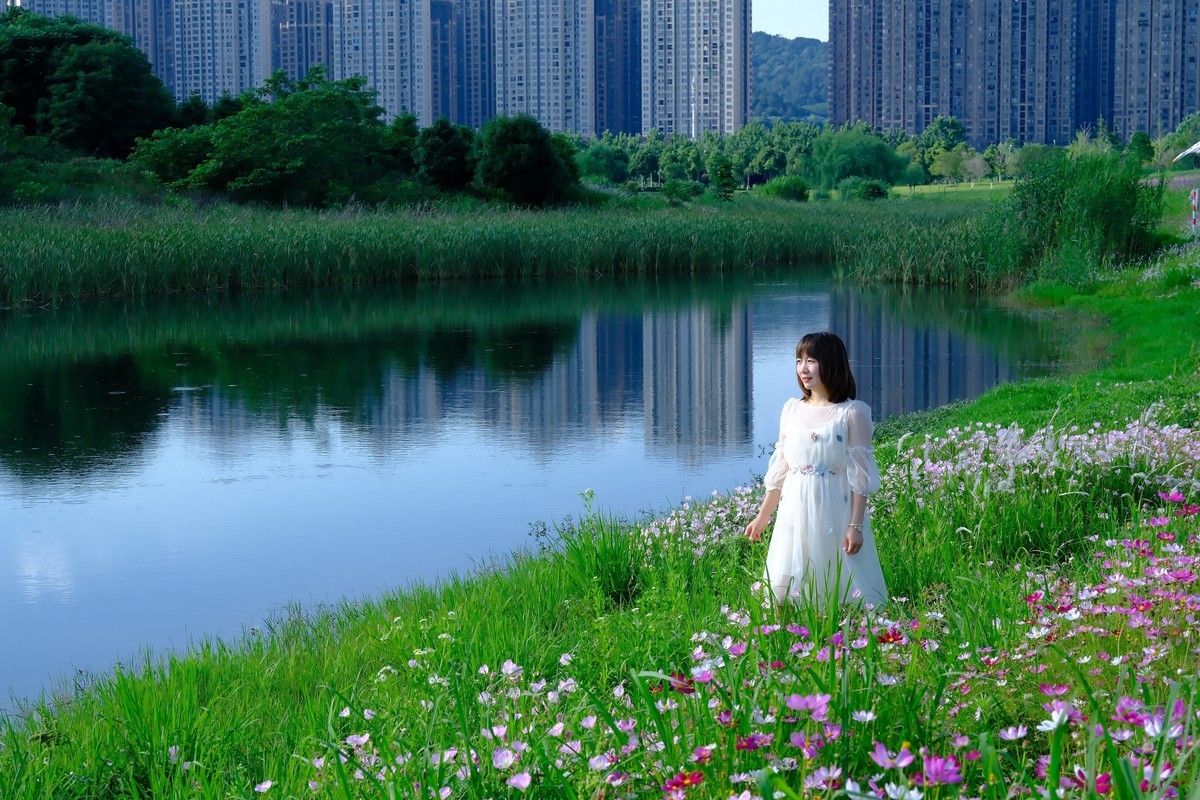 测试·富士ＸＴ－５：长沙洋湖潮湿地公园·格桑花海。