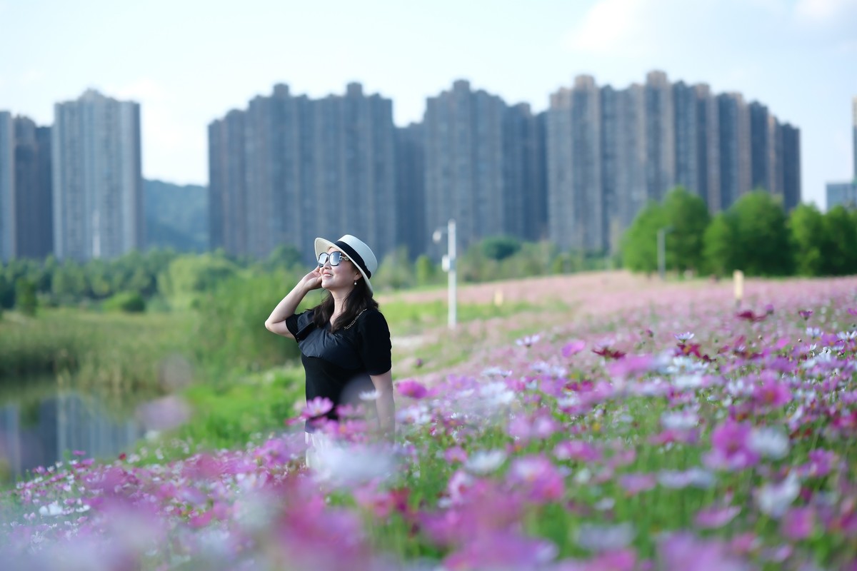 测试·富士ＸＴ－５：长沙洋湖潮湿地公园·格桑花海。