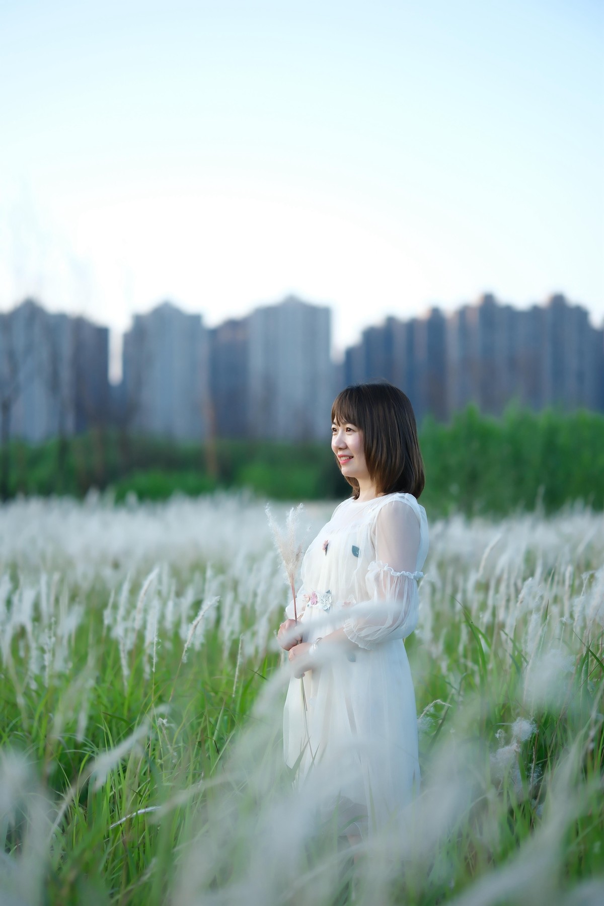 测试·富士ＸＴ－５：长沙洋湖潮湿地公园·格桑花海。