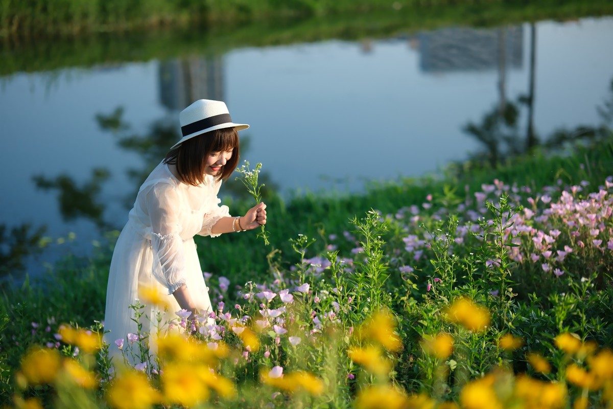 测试·富士ＸＴ－５：长沙洋湖潮湿地公园·格桑花海。